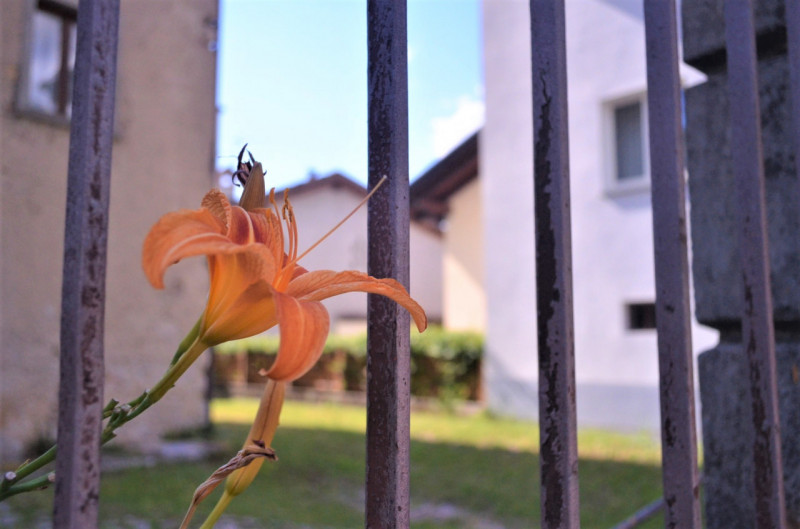 Foto casale/rustico in vendita a Cavedine (Trento)