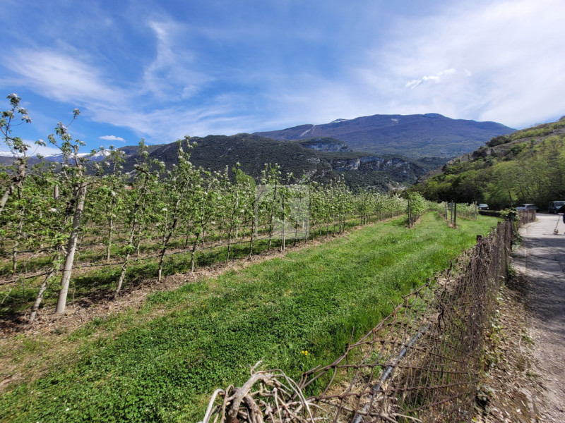 Foto casale/rustico in vendita a Dro (Trento)