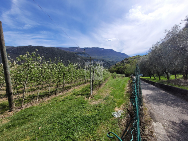 Foto casale/rustico in vendita a Dro (Trento)