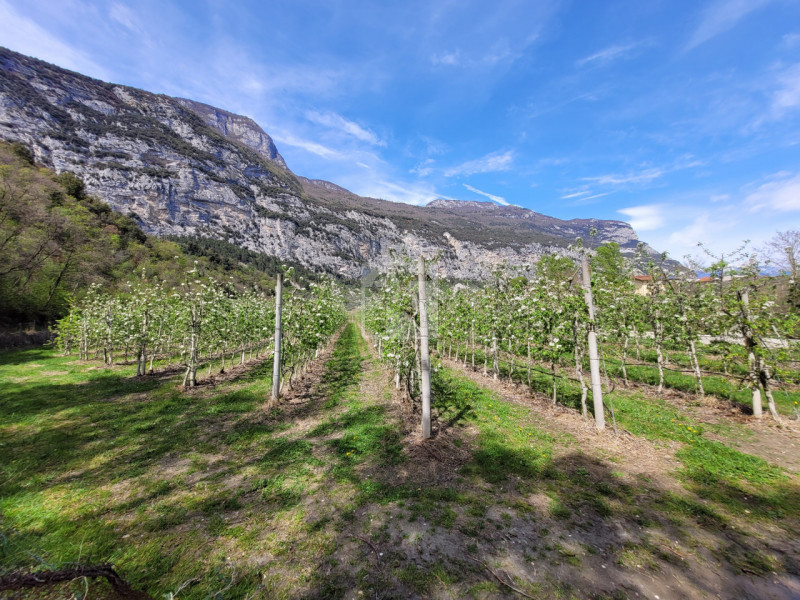 Foto casale/rustico in vendita a Dro (Trento)