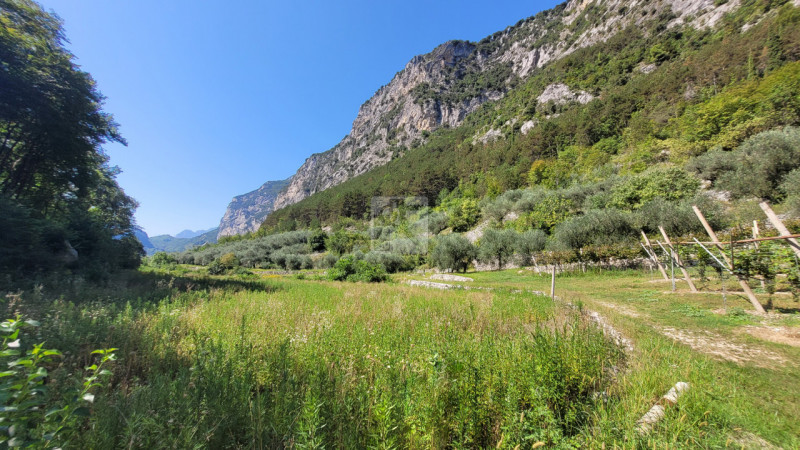 Foto terreno in vendita a Dro (Trento)