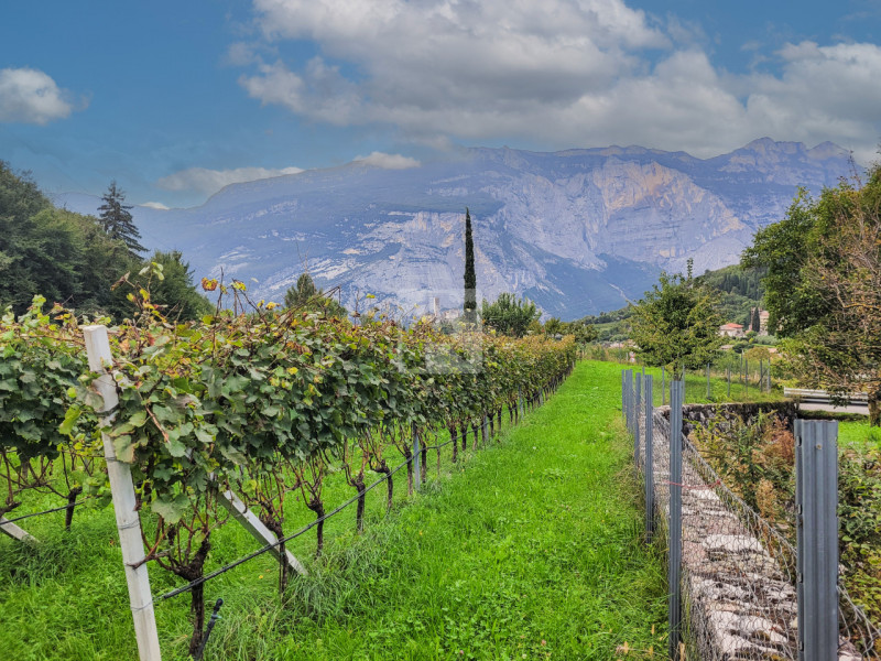 Foto terreno in vendita a Drena (Trento)