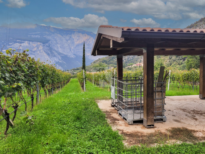 Foto terreno in vendita a Drena (Trento)