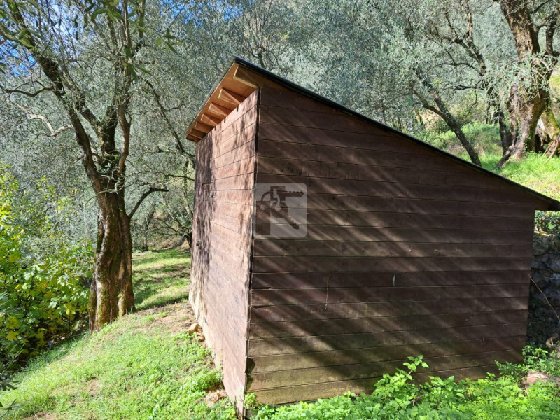 Foto terreno in vendita a Arco (Trento)