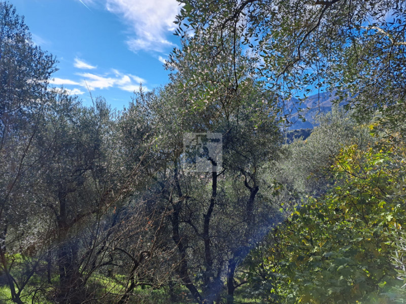 Foto terreno in vendita a Arco (Trento)