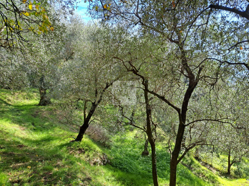 Foto terreno in vendita a Arco (Trento)