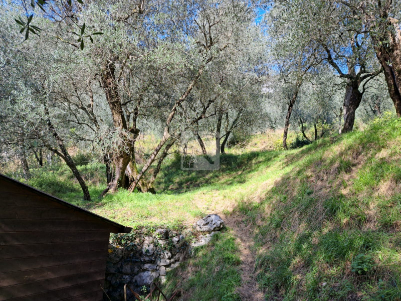Foto terreno in vendita a Arco (Trento)