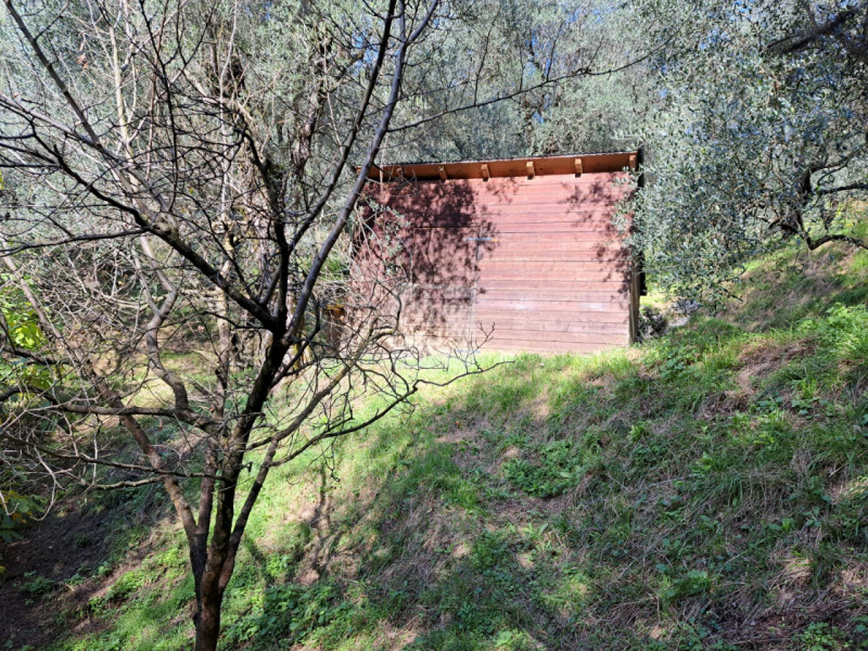 Foto terreno in vendita a Arco (Trento)