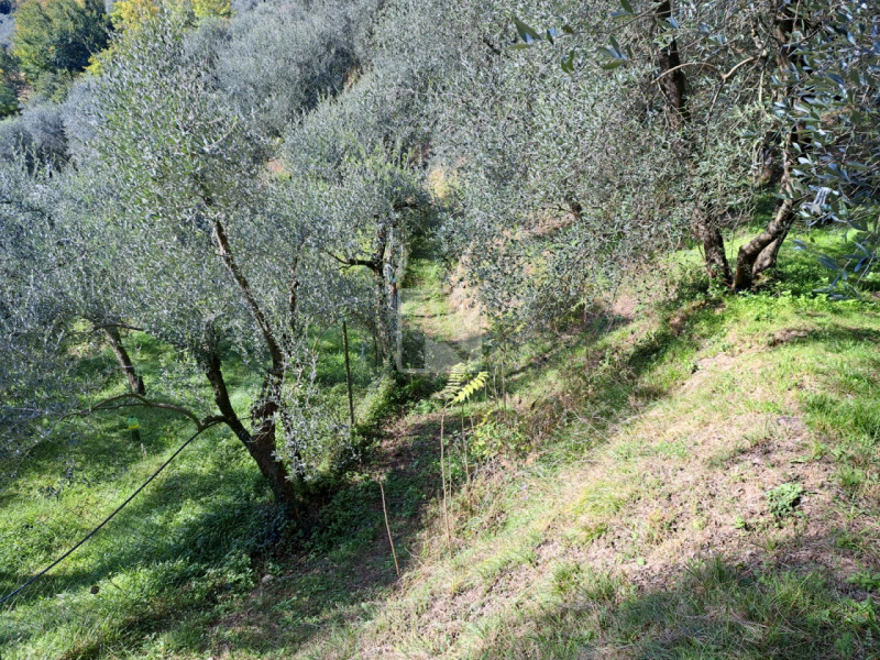 Foto terreno in vendita a Arco (Trento)