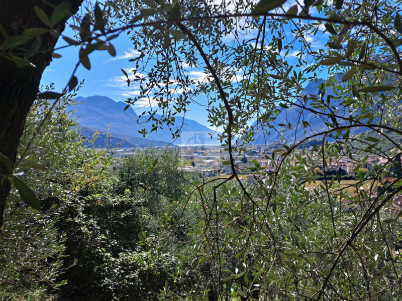 Foto terreno in vendita a Arco (Trento)
