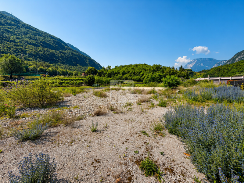 Foto terreno in vendita a Vallelaghi (Trento)