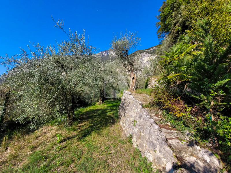 Foto terreno in vendita a Dro (Trento)