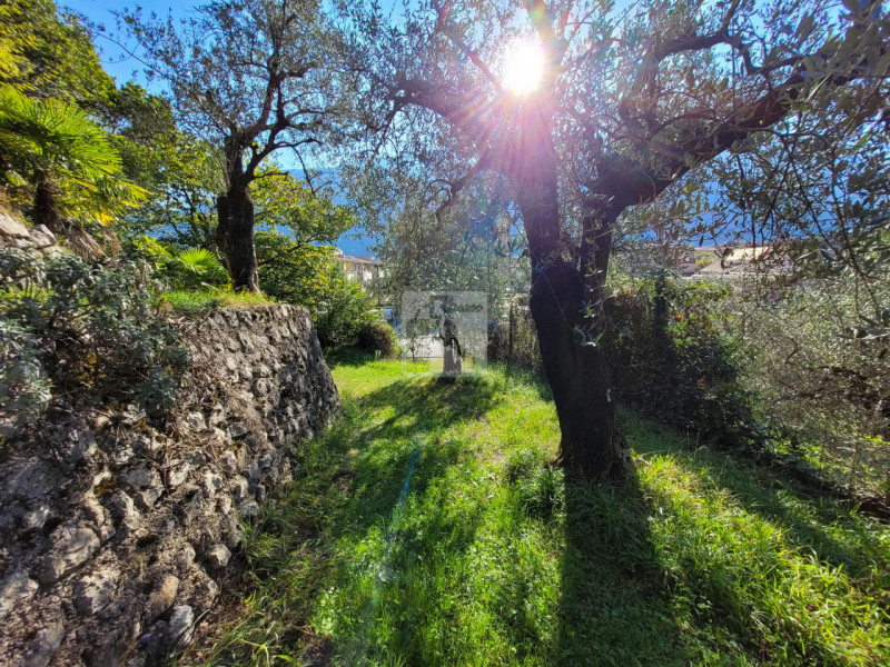 Foto terreno in vendita a Dro (Trento)