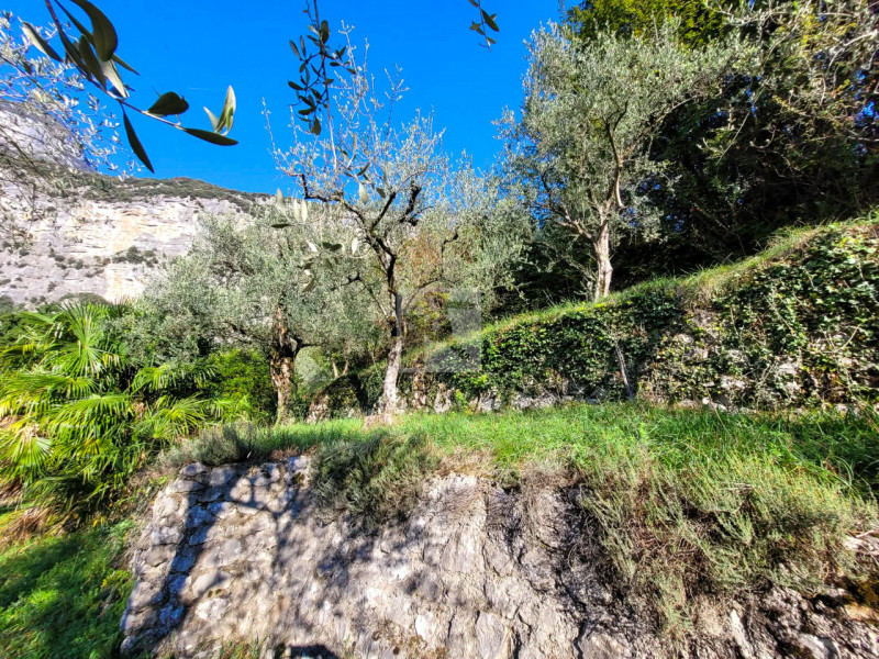 Foto terreno in vendita a Dro (Trento)