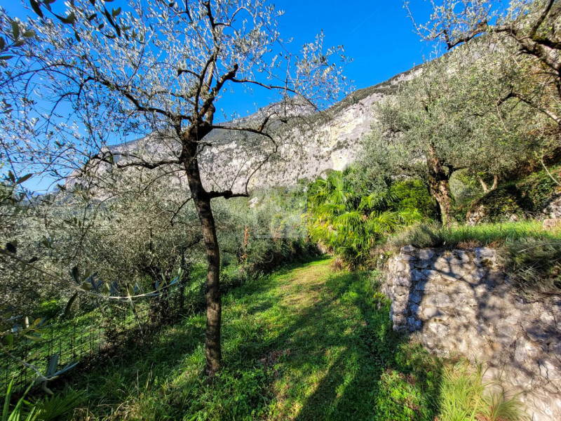 Foto terreno in vendita a Dro (Trento)