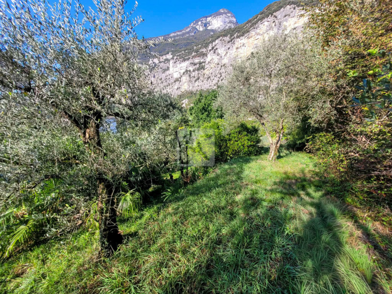 Foto terreno in vendita a Dro (Trento)