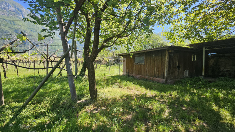 Foto terreno in vendita a Arco (Trento)