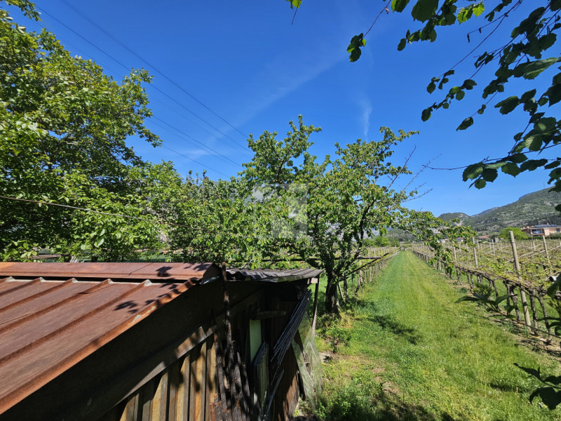 Foto terreno in vendita a Arco (Trento)