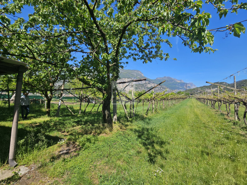 Foto terreno in vendita a Arco (Trento)