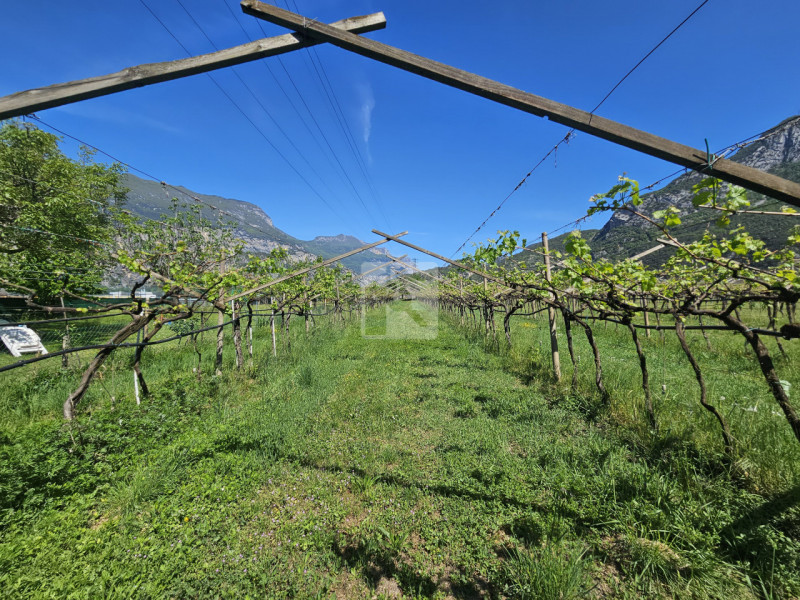 Foto terreno in vendita a Arco (Trento)