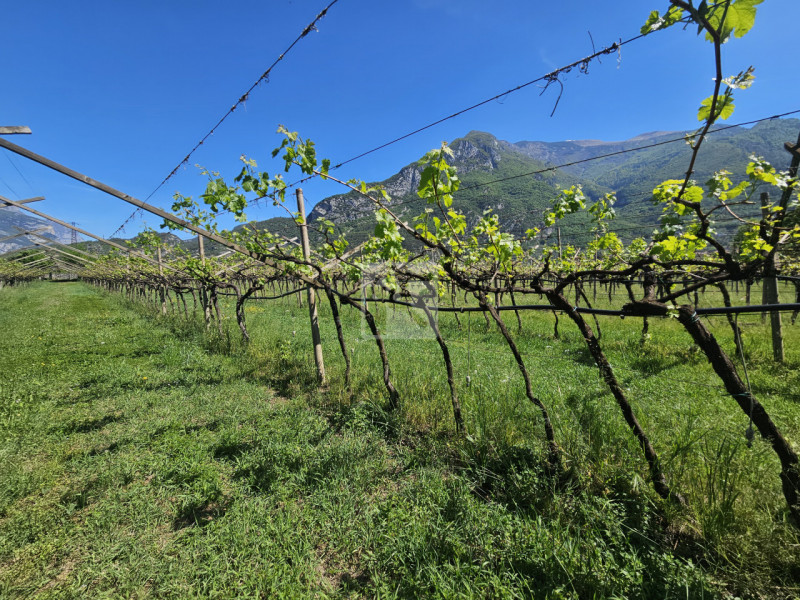 Foto terreno in vendita a Arco (Trento)