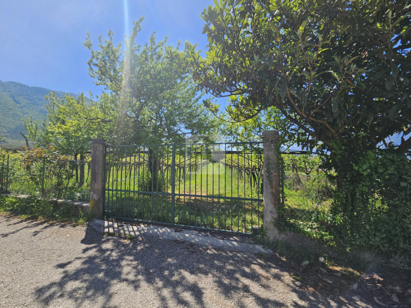 Foto terreno in vendita a Arco (Trento)
